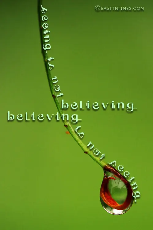 Dr Gwen Ford Quote of the week: Seeing is not Believing...Believing is not Seeing.   