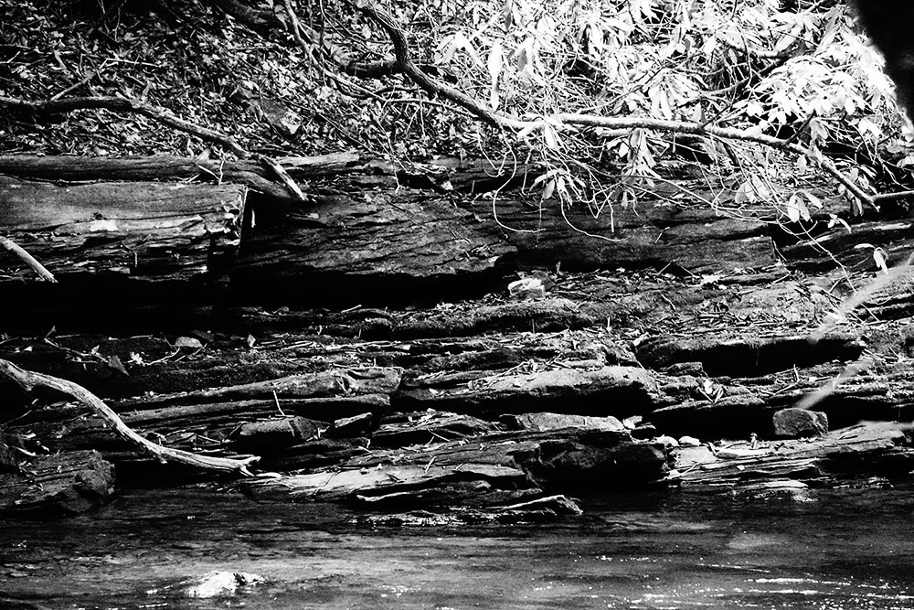 Gold-gwen_ford_bw_cherokee_river