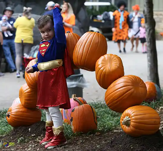young girl wearing superman suit posing next to Pumpkins