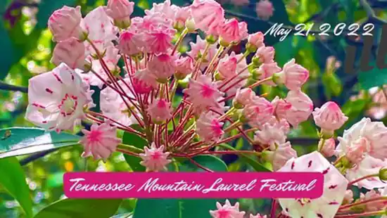 Tennessee Mountain Laurel Festival poster