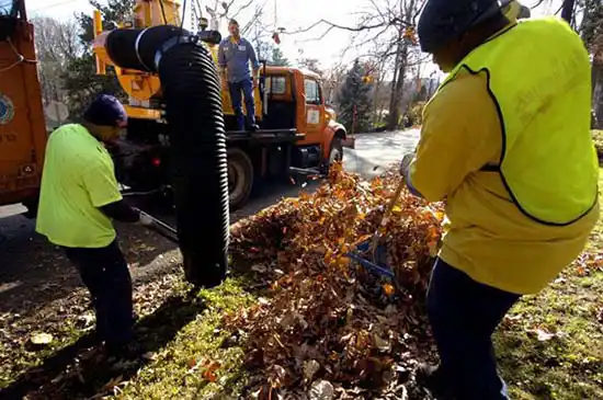 3 workers in yellow vest collecting leafs