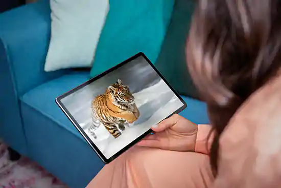 woman holding tablet with tiger running in the snow on screen