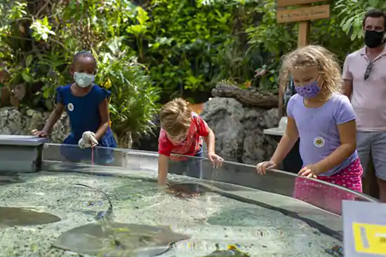 Children playing at Tennessee Aquarium in Stingray Bay, Chattanooga, Tennessee