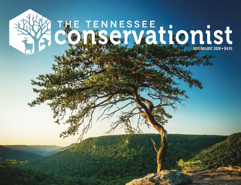 'The Tennessee Conservationist' Magazine cover