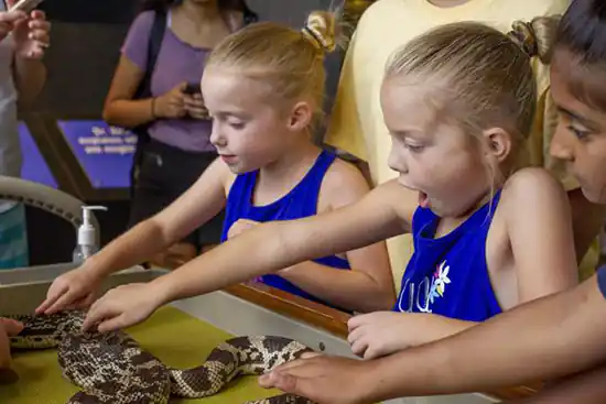 young girls at the Tennessee Aquarium touching snake