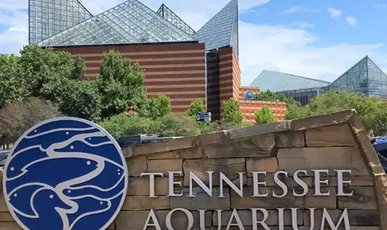 Tennessee Aquarium Buildings with glass roof