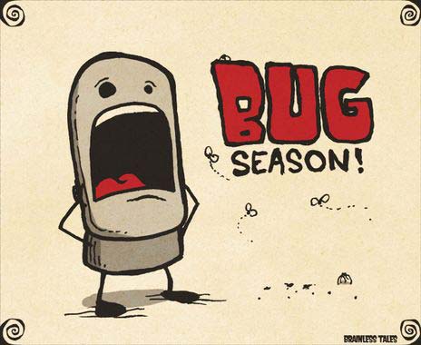 bug_season