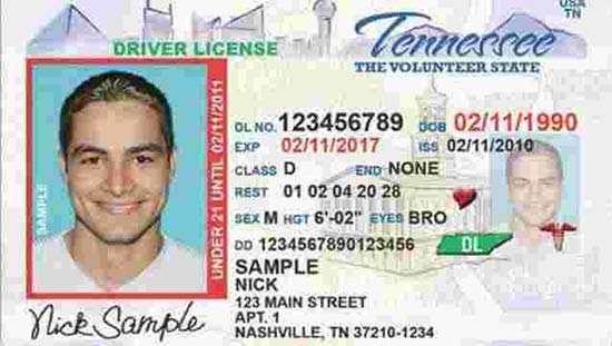  driver_license