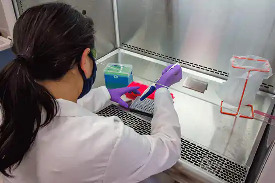 woman in white with purple gloves with testing kit