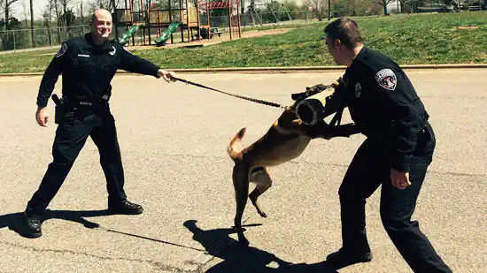 sevierville_police_self_defense 