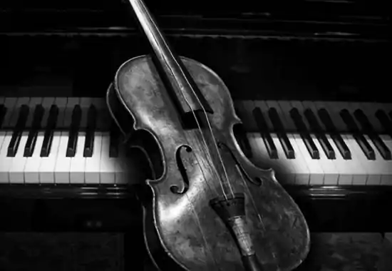black and white-violin sitting on piano keys